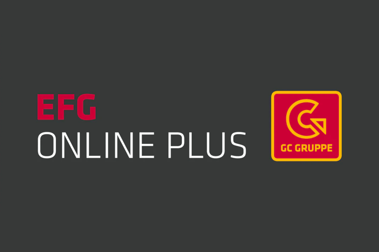 EFG ONLINE PLUS